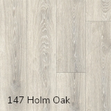 Holm-Oak-147